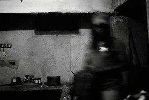 Michelle's photo entry for Image of Research Competition 2026