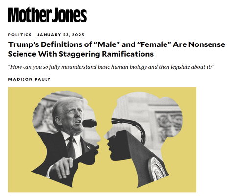 Mother Jones article graphic