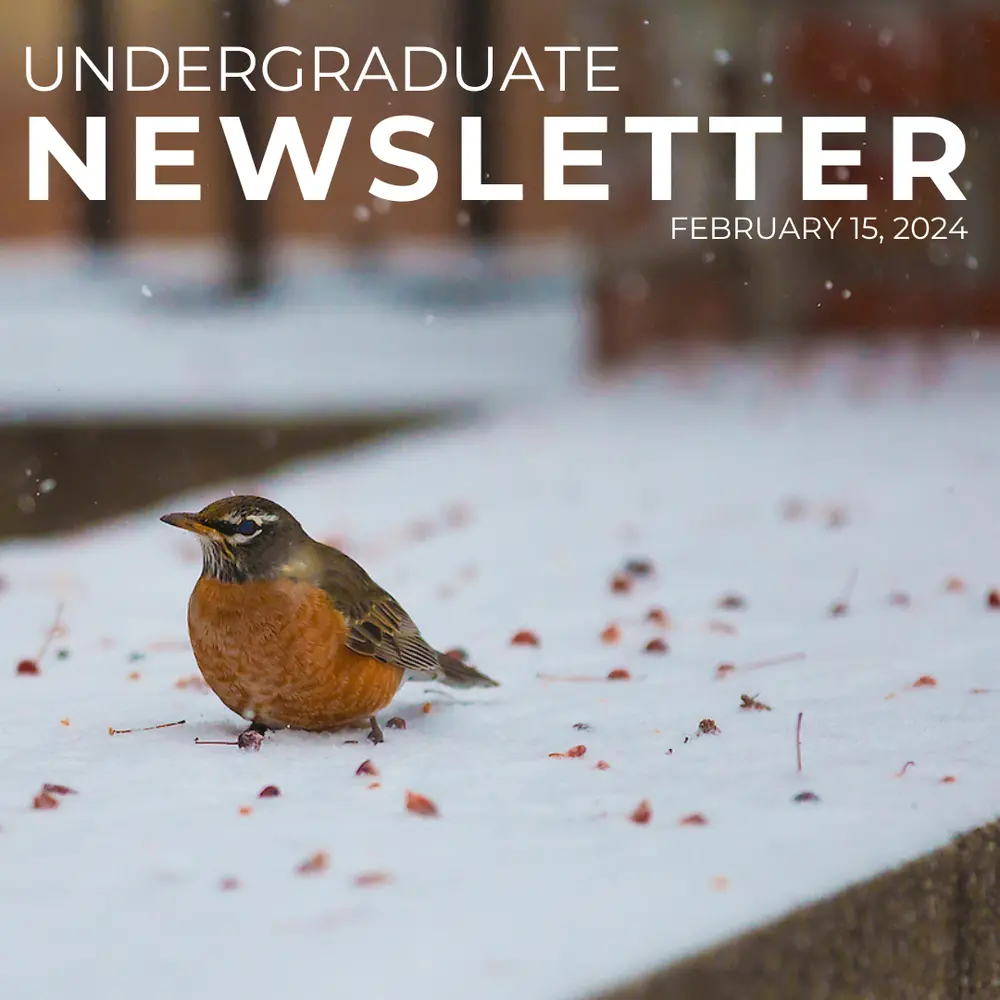 UG newsletter