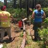 Sapelo Island Field Study